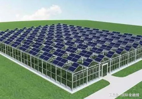养猪巨头400亿跨界光伏引问询函,公司回应