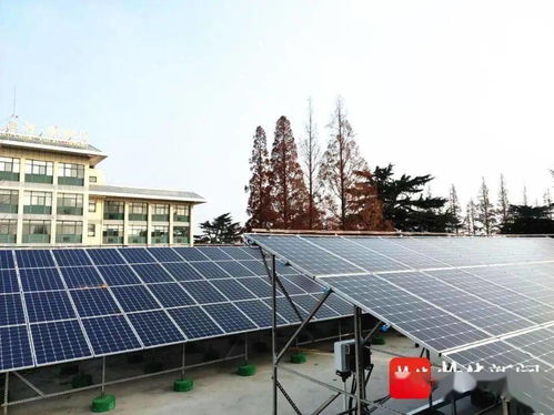运河最美船闸 太阳能光伏电站 火 了,日发电量达400度
