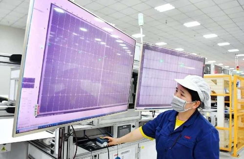 隆基乐叶落户经开 光伏产业集群于此向阳而生