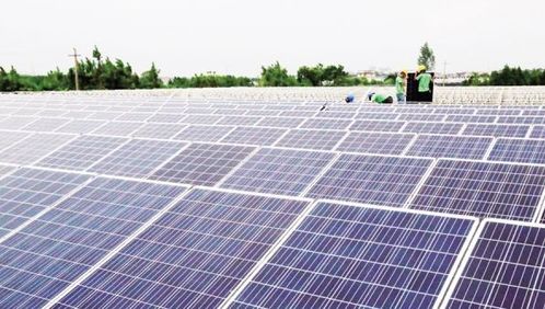 脱贫路上的明灯 棚顶光伏发电，棚下种瓜种菜，致富全靠它